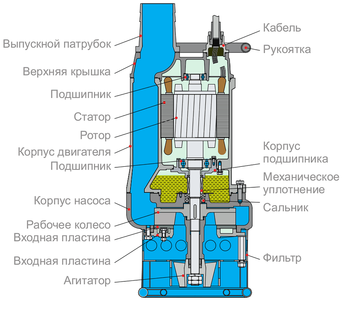 Схема устройства насоса Tsunami 100KTS46