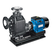 Tsunami ZW32-10-20 — промышленный насос Tsunami